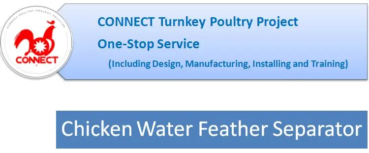 water-feather-3.jpg