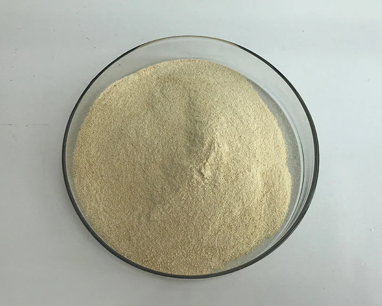 经济实惠的洗衣液用纤维素酶酶粉