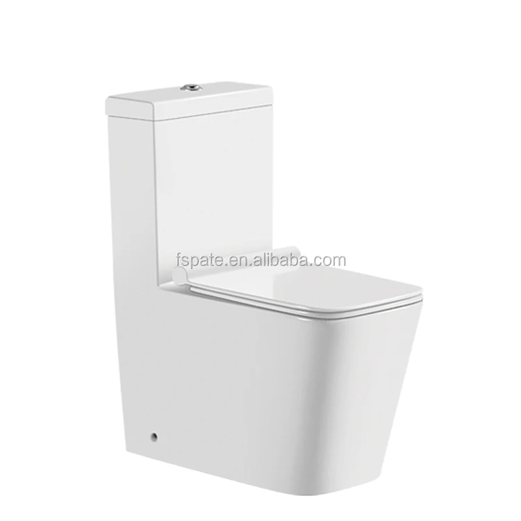 Ap8869 European And Watermark Toilet Five Star Hotel Bathroom Two Piece