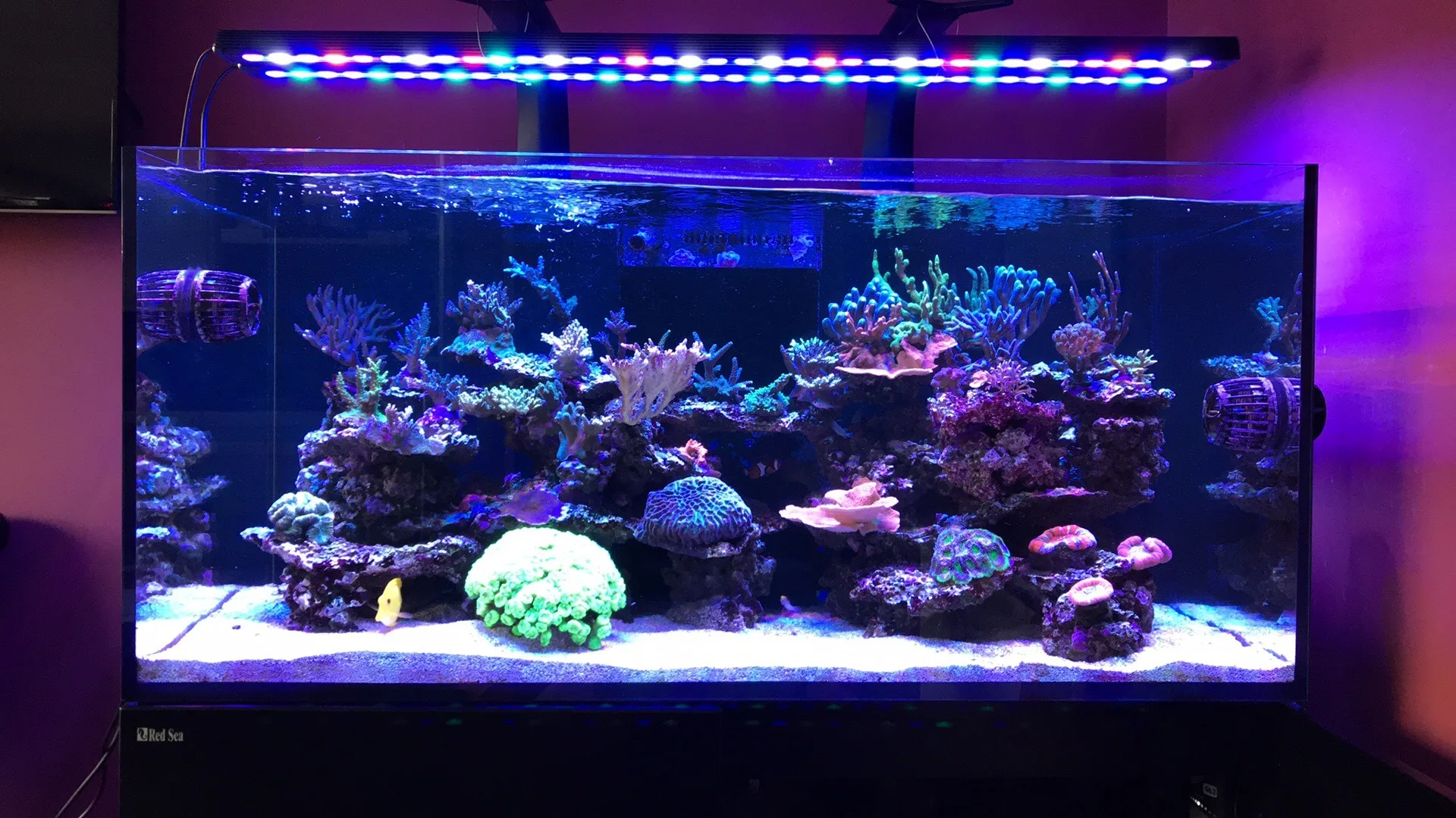 Reef Bar led Light для рифа
