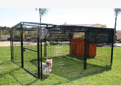 dog kennel hutch