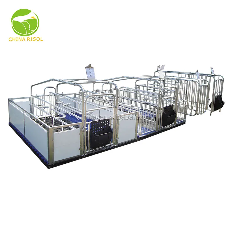 Hot Galvanized Farrowing Crates Pig Used Farrowing Crate For Sale Buy Farrowing Crate For Sale