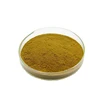 Health and Medical Herbal Plant Natural Wholesale Neem Extract for Internal Fever and Heat Removal