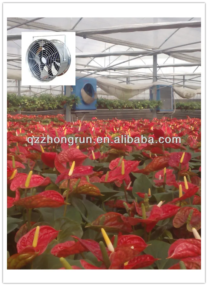 Greenhouse Air Circulation Fans Buy Greenhouse Air Circulation Fans