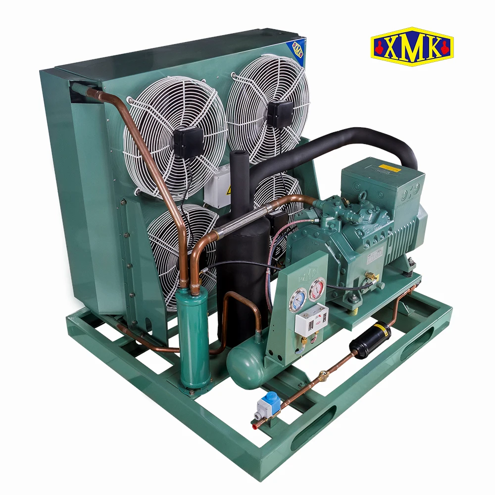 10hp Bitzer Air Cooled Compressor Condensing Unit For Blast Freezer