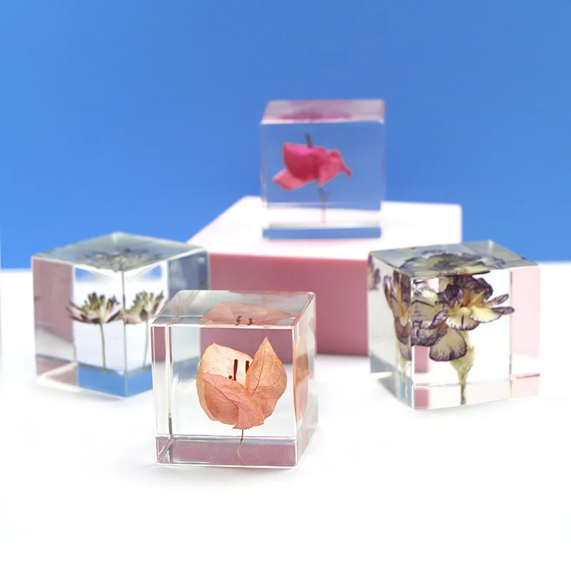 Custom Clear Lucite Cube Acrylic Embedding Flower Seeds Leaves Resin