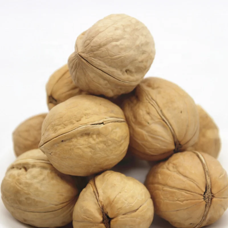 thin_shelled_walnuts (2).png