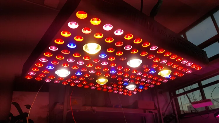 aglex cob led grow light 3000w