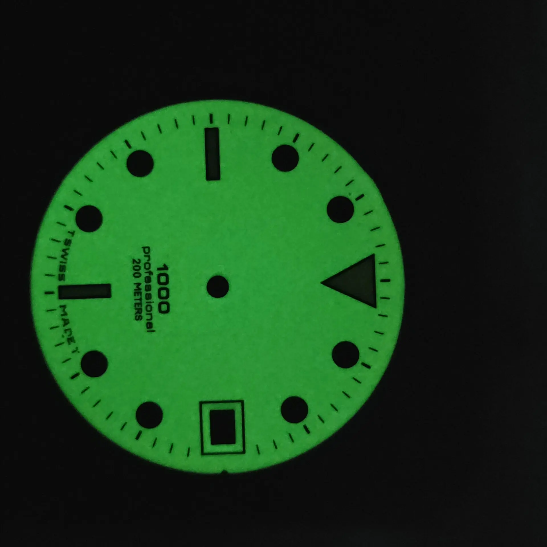 Custom Full Luminous Dial Fit Miyota 8215/9015/6t15 Movement Watch