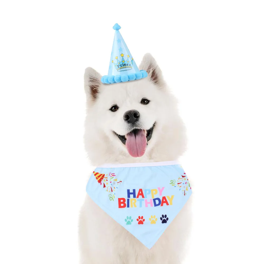 birthday cap for dog