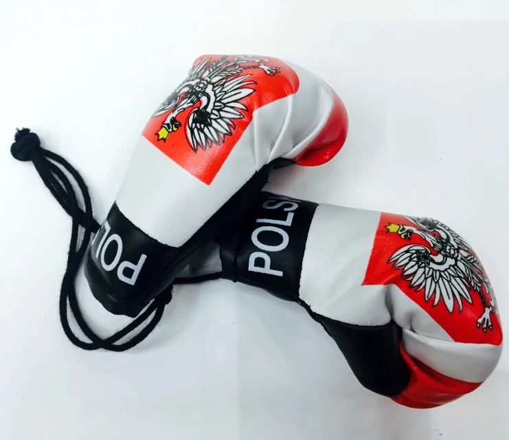 Custom Mini Boxing Gloves Rear View Mirror With Mexico Flag - Buy Mini ...