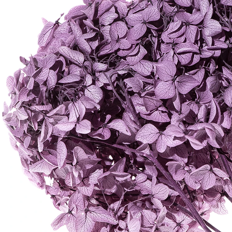 天然干绣球花花紫色蓝色香气香味分散器花