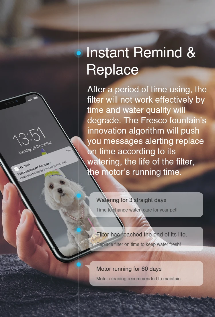 alibaba_Fresco-Pro_06