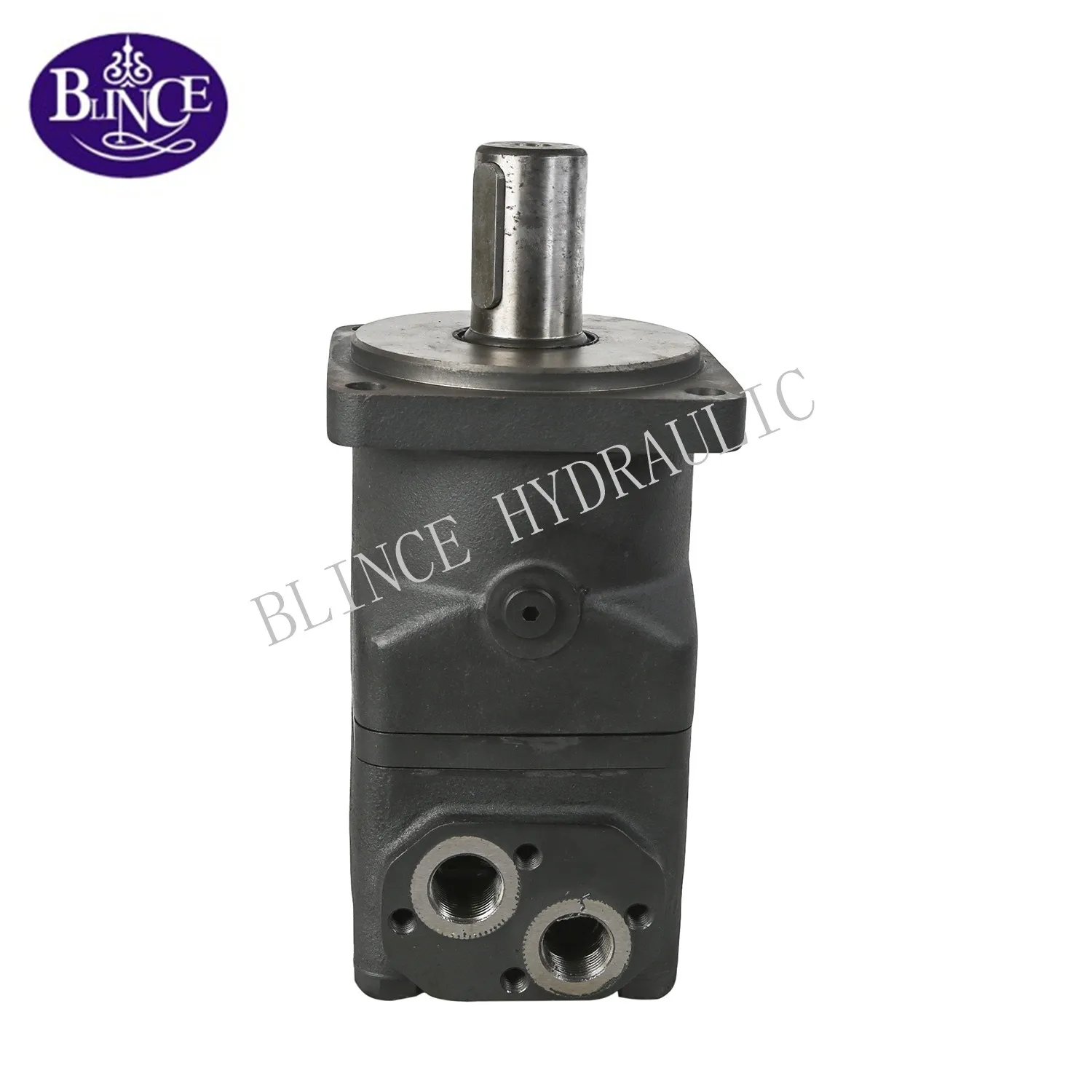 Omt 160 Hydraulic Motor/151b3000 Orbit Motor/best Omt315 Hydraulic ...