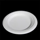 Sugarcane Degradable Small Disposable Party Tableware Plate