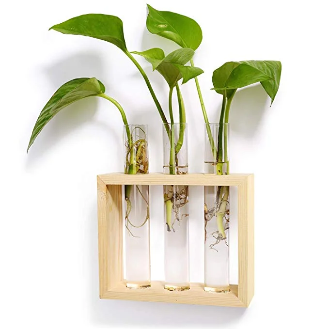 
Wall Hanging Glass Planter Flower bamboo plant pot stand 