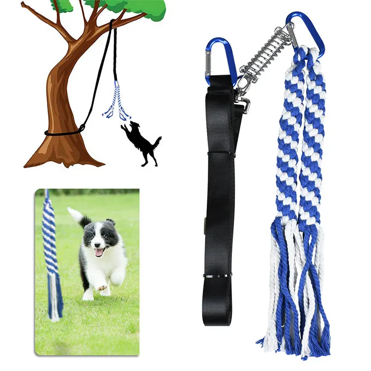 outdoor tether for dogs