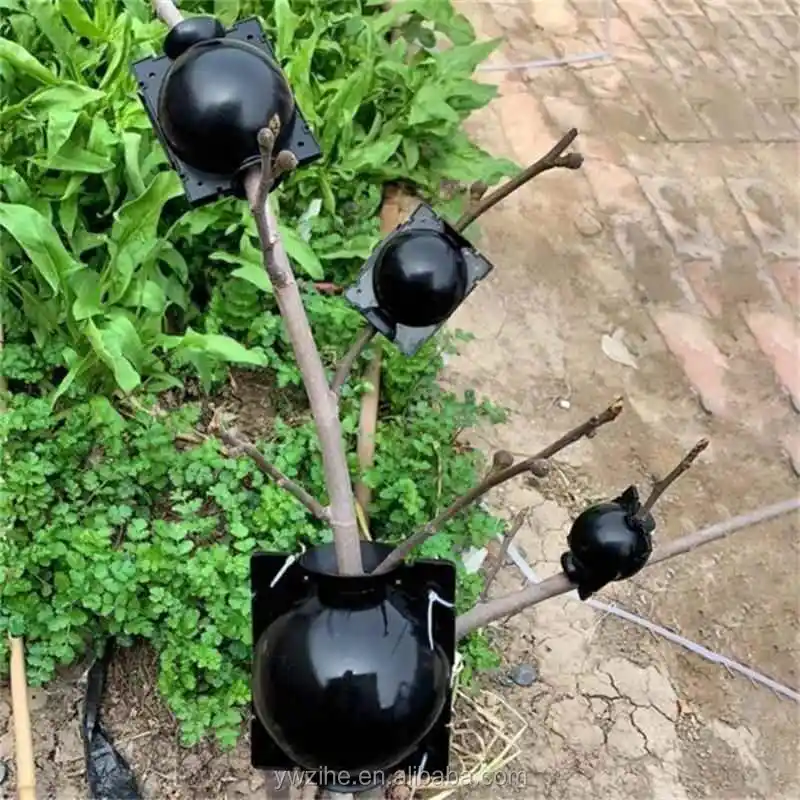 S Rooting Ball Propagation High Pressure 15Pcs Plant Root Growing Box Grafting Device Assisted Cutting Plants Rooting Growing Breeding for Reproduction Equipment 