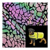 2019 high quality new design dog harness reflective dog leash collar reflective fabric
