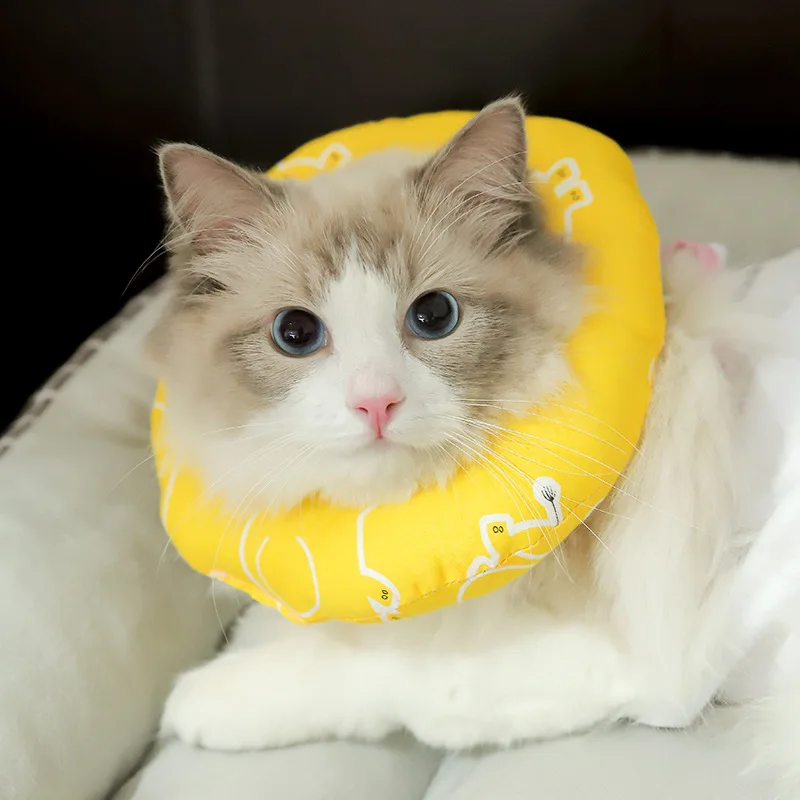 Cheap Replacement Elizabeth Coop Cat Kit Bites And Licks And Shame