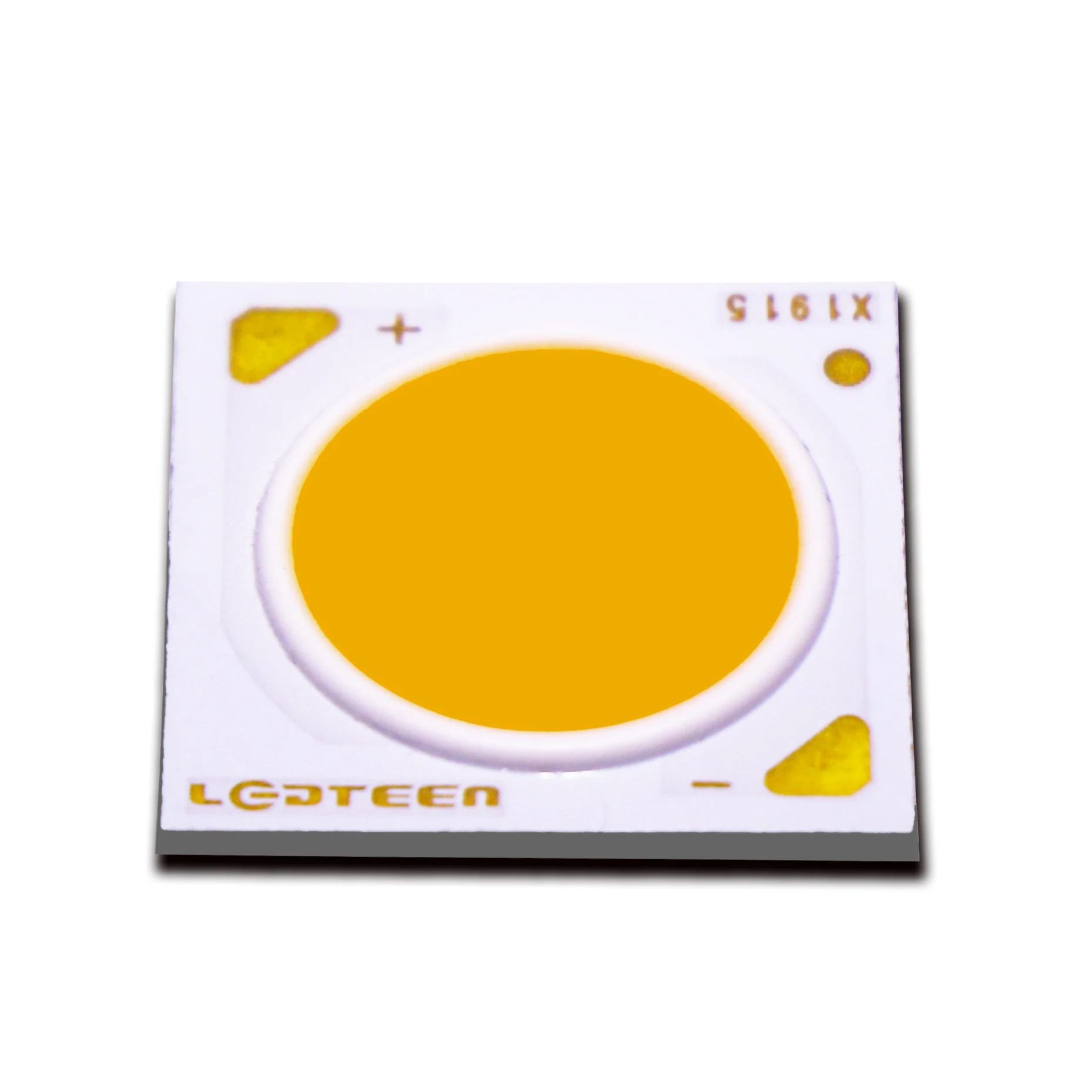 Good Quality Assurance  Cold White And Warm White Cob Epistar/Chinese Chip Led