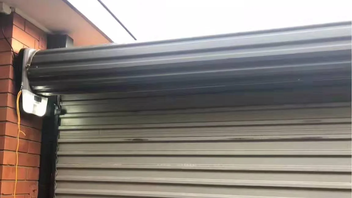 270v/110v Battery Operated Electric Car Garage Door Opener Buy Garage