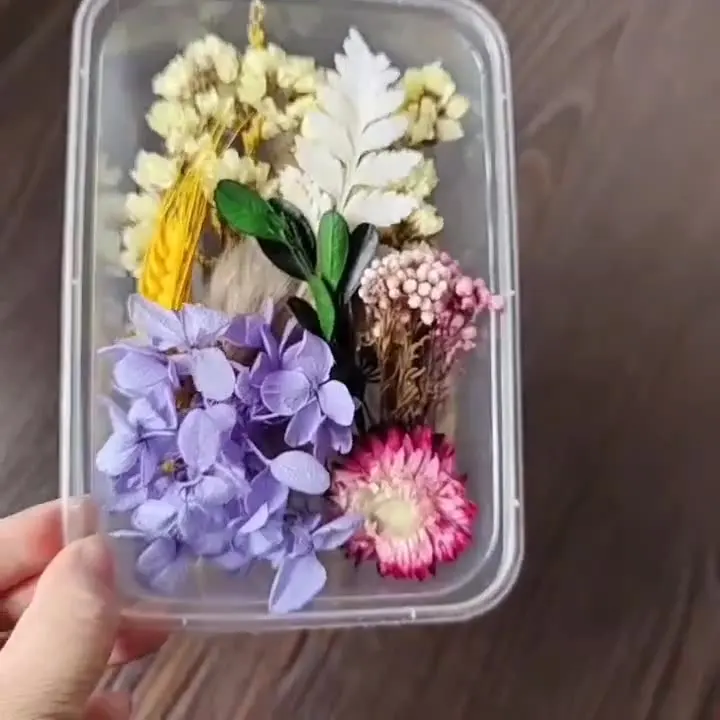 Real Mix Box Dried Flowers For Resin Jewellery Dry Plants Pressed