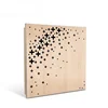 Building Materials For House Pvc Wall Panels Price In Lahore Market T&G