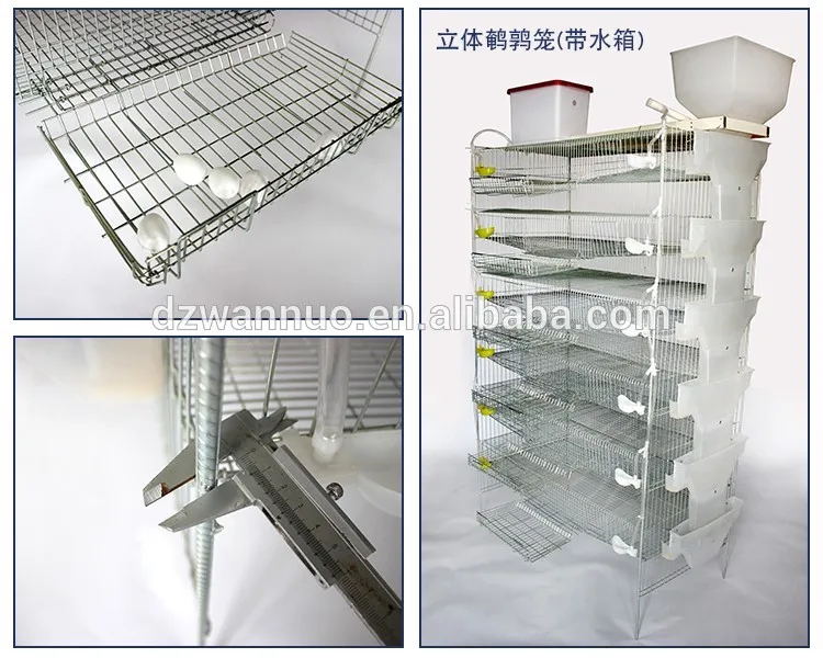 High Quality Quail Cages For South Africa,Plastic Quail Cage Farming