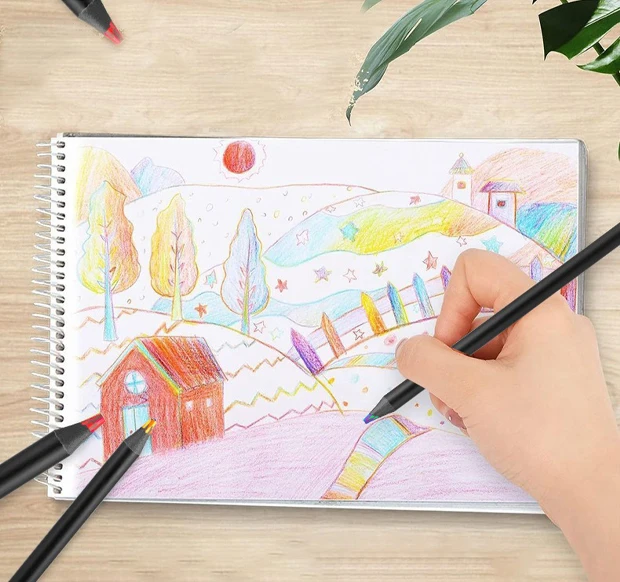 Art Colouring Pencils 12 Rainbow Shades For Drawing And Sketching_voghion.com