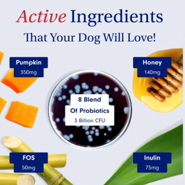 Petlab Co. Dog Probiotic Deliver Digestive Support,Promote Healthy Yeast Production And