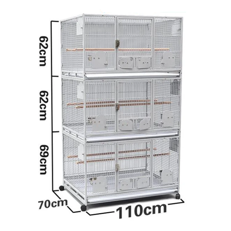 raw parrot breeding cage size