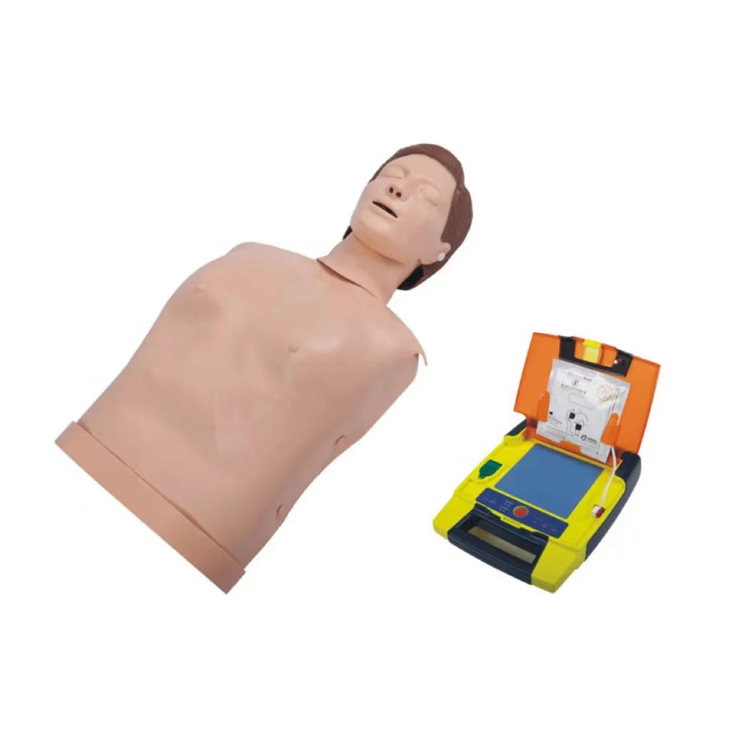 Human Electronic Half Body Full Body Cpr Training Manikin Models For