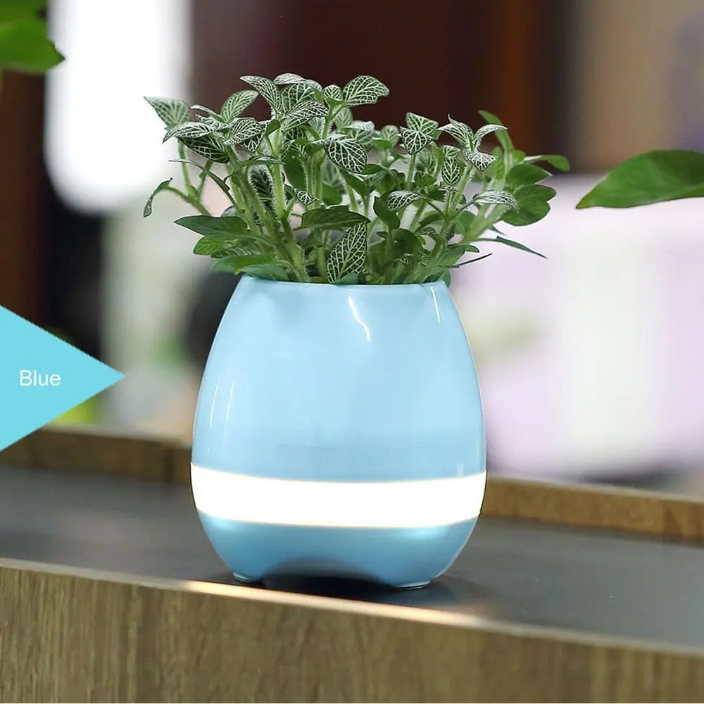 potting lighter echo Bluetooth Wireless bocina diffuser speaker - ANKUX.COM