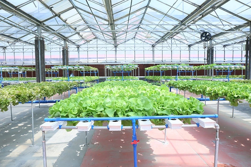 water ph sensor in aquacture