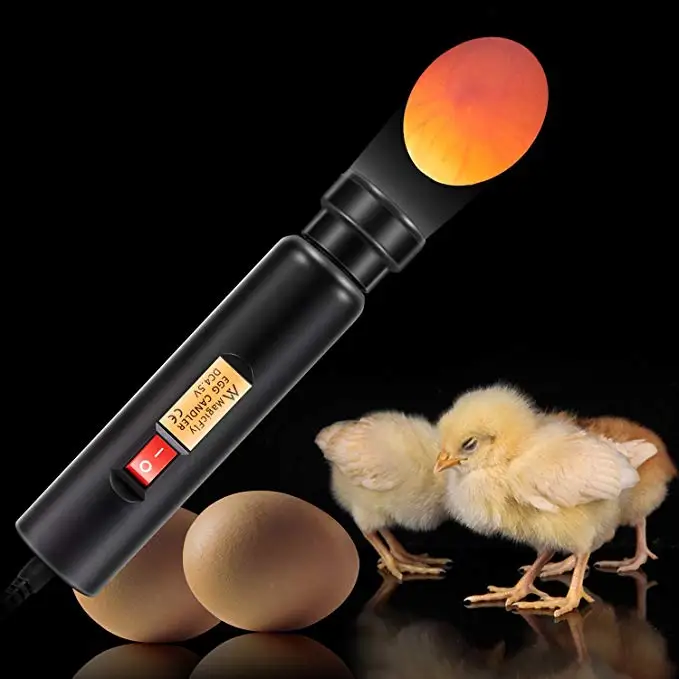 High intensity LED cool light poultry egg candler tester