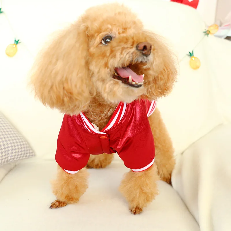 Fashionable Sports Dog Clothing Brand With Dog Logo Dog Cotton Clothes Buy Dog Cotton Clothes