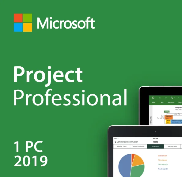ms project professional 2019