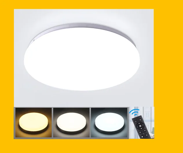 Modern Dimmable Led Ceiling Light Fixture With Remote Control,24w