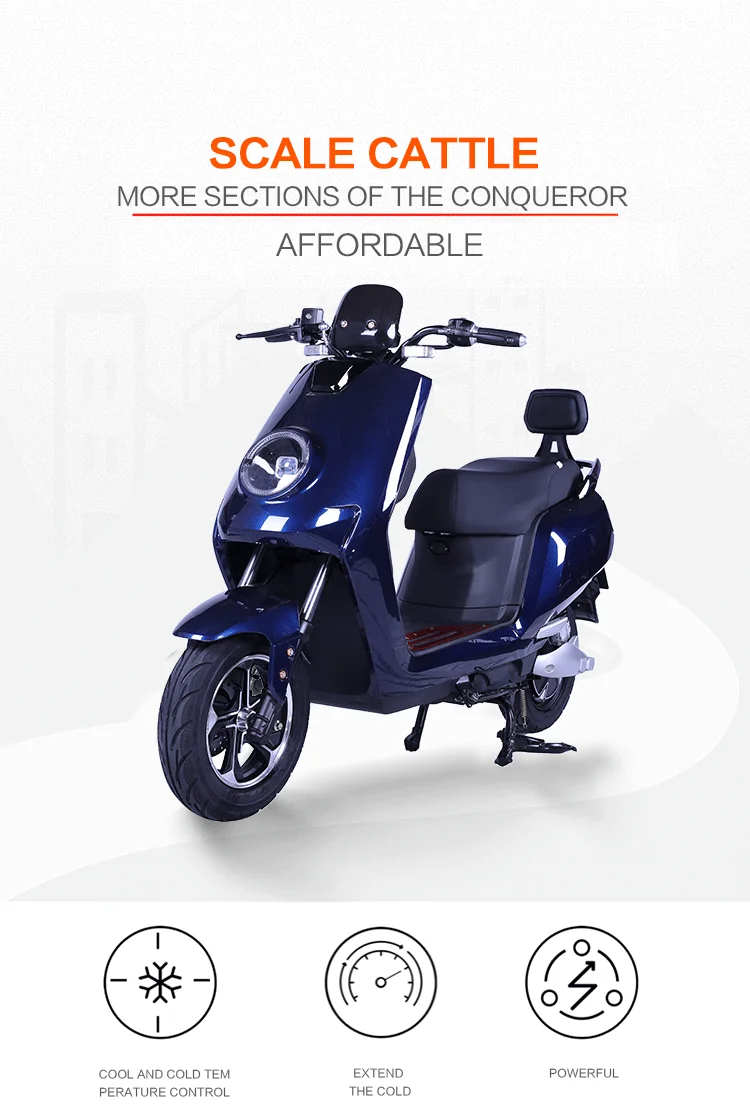 2 Wheel Electric Motorcycle with EEC Electric Scooter for European