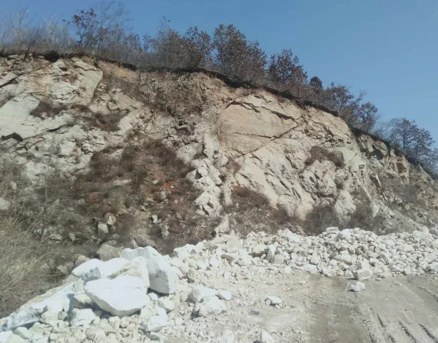 paste-pic-dp_uuid_zm2mg