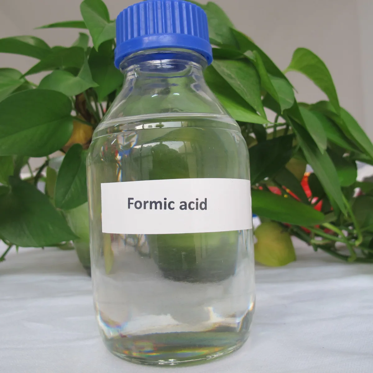 Formic Acid Cas 64 18 6 Buy Cas 64 18 6 Formic Acid Cas 64 18 6 Formic Acid Product On