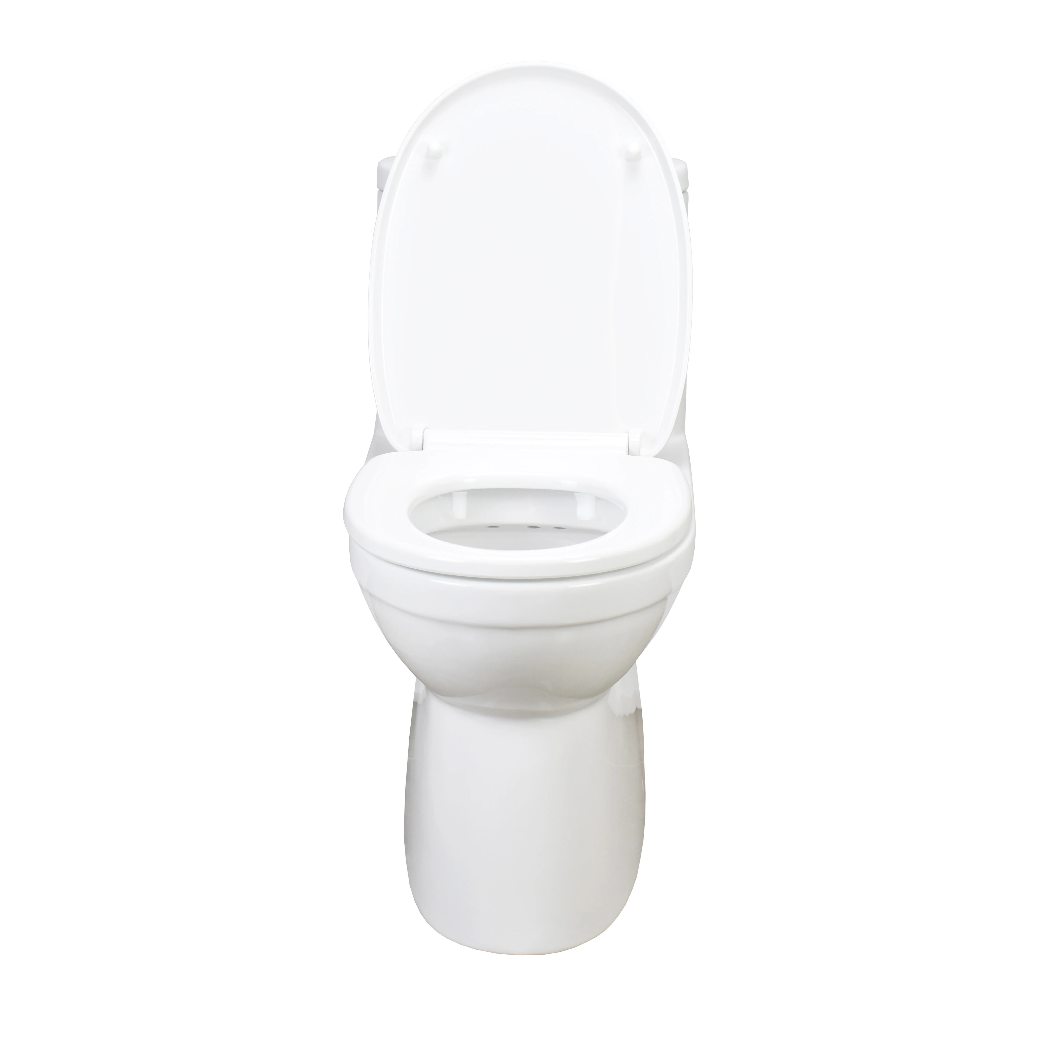 Nl101 Factory Water Ridge One Piece Dual Flush Toilet Closet Washdown