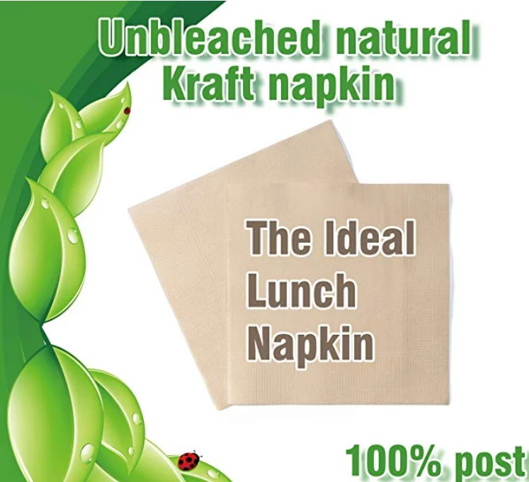 Recycled Post Consumer Paper Biodegradable