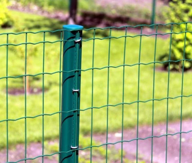 Cheap Livestock Holland Mesh Fence Euro Fence For Sale Buy Cheap