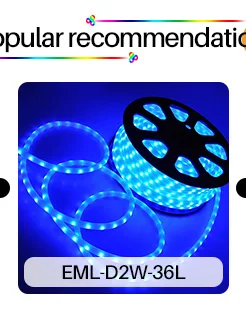 China Suppliers DC12V/24V 3 Wire led rope light 100m