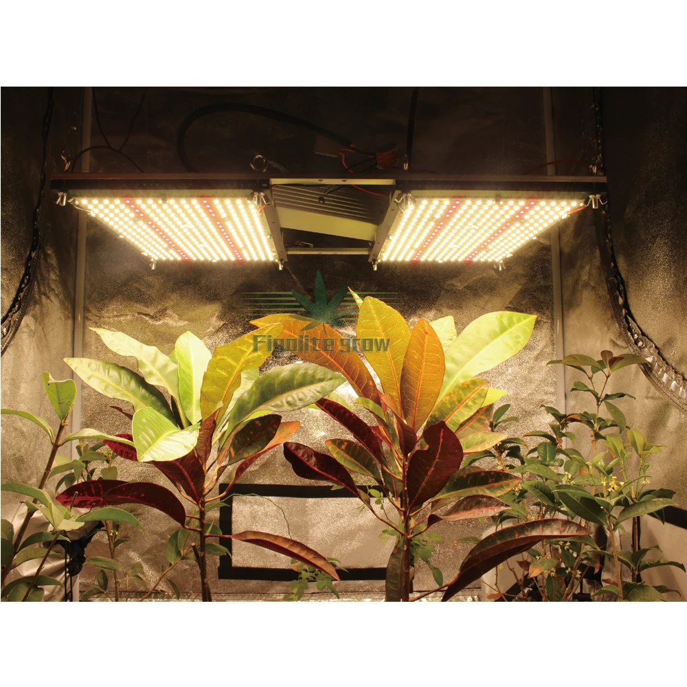 2X120W-LM301H+UV&IR-H01