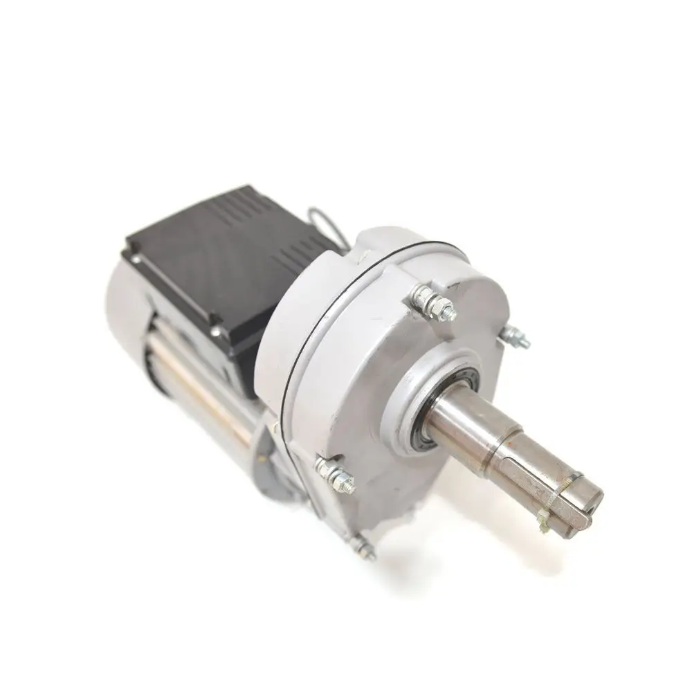 Factory Supply Powerful Electric High Torque Low Rpm 750w 110 Volt Ac