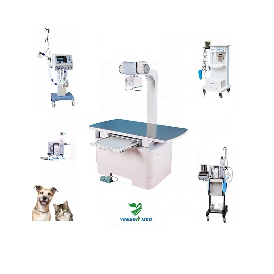 Veterinary medical shop supplies near me