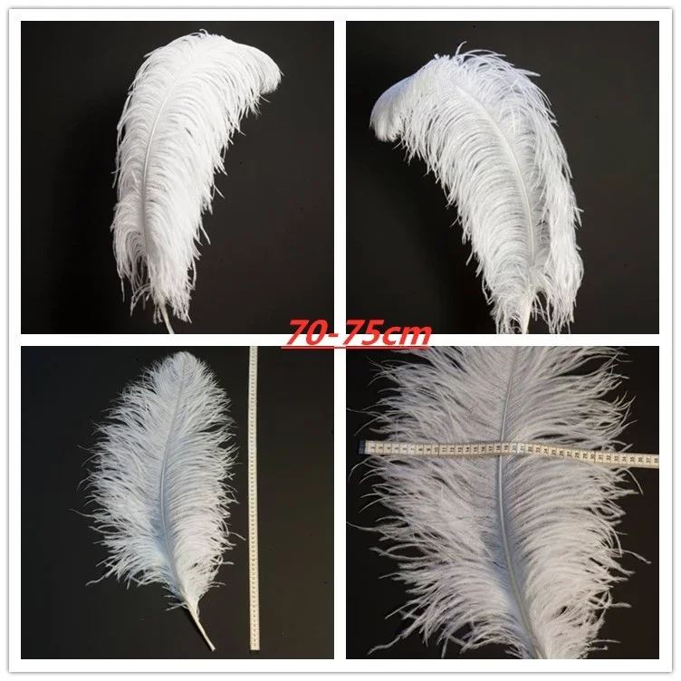 Wholesale Feather Suppliers South Africa Festival Large Decor Feather